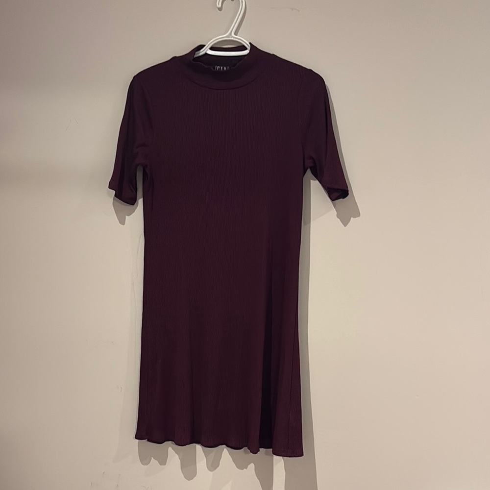 Zara Deep Burgundy Mini Dress